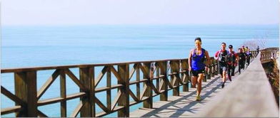 519中國旅游日 青島推出多樣主題活動，提供便捷旅游信息咨詢